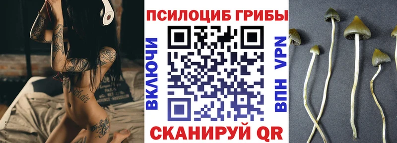 купить наркоту  Димитровград  Галлюциногенные грибы Cubensis 