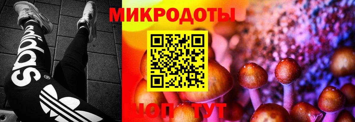 Галлюциногенные грибы Magic Shrooms Димитровград
