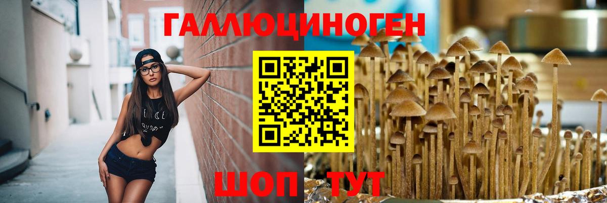 Псилоцибиновые грибы мухоморы  Галлюциногенные грибы Psilocybine cubensis  Димитровград  Вход с VPN 