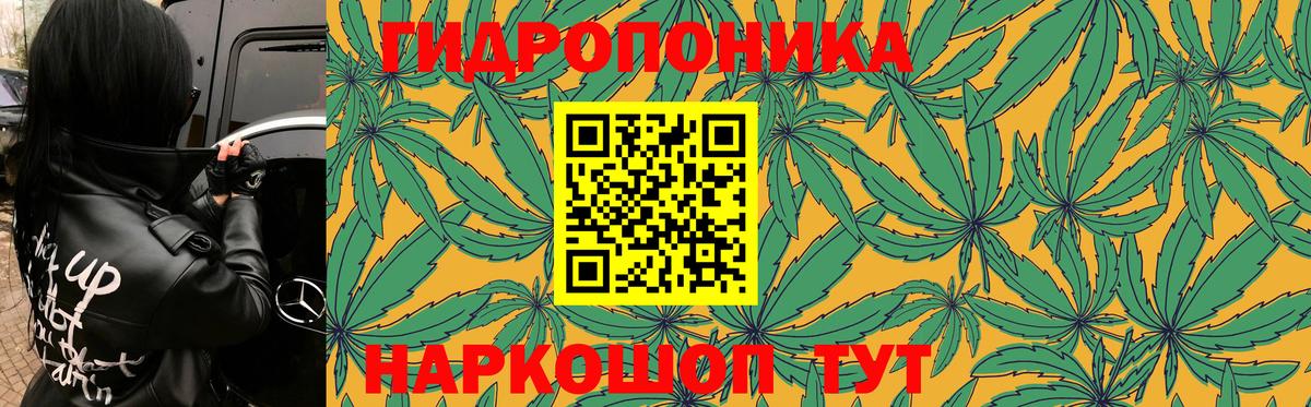 Бошки марихуана сатива  Шишки марихуана MAZAR  Димитровград 