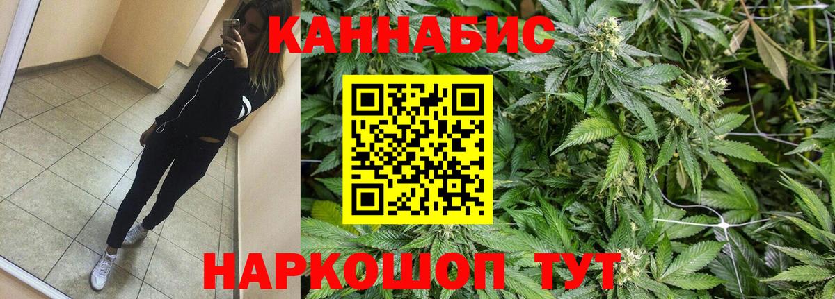 Бошки Шишки Amnesia Димитровград